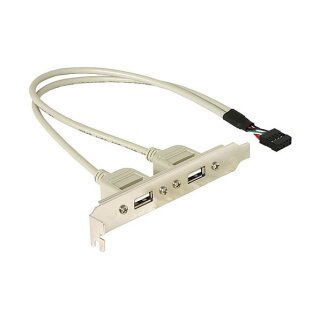 Slotblech 2 x USB 2.0 Typ A Buchse extern