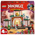 LEGO 71831 Ninjago Spinjitzu-Tempel der Ninja