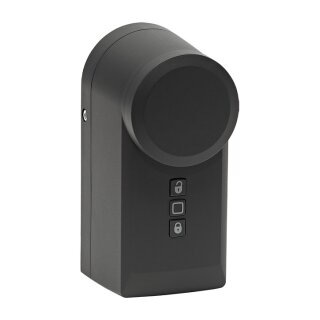 Homematic IP Türschlossantrieb, anthrazit