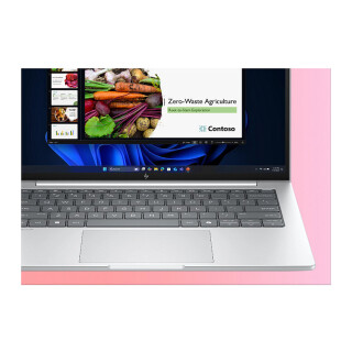 HP EliteBook 8 G1a AMD Ryzen 7 250 35.56cm 14Zoll WUXGA 32GB 1TB/SSD W11P SmartBuy 3J Gar (DE)