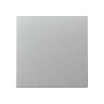 GIRA 329626 Wippe System 55 F Alu