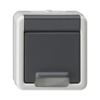 GIRA 441430 SCHUKO-Steckdose AP/WD mit Klappd.+SafetyPlus WG AP grau