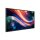 PHILIPS Q-Line 65BDL4050Q 165,1cm(65") 24/7/UHD/Android10 (Speditionsversand)