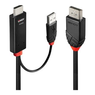 LINDY HDMI an DisplayPort Adapterkabel 2m