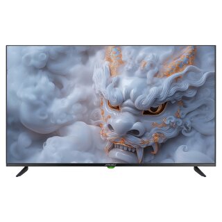 109,2cm/43" (3840x2160) JAPANNEXT JN-IPS430UHD60F 16:9 IPS 60Hz HDMI USB WLAN Speaker Black