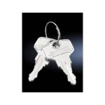 Rittal Schaltschrank-Schlüssel 2 Stück