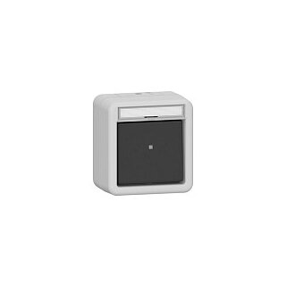 GIRA 311630 Wipp-Kontroll AusWe BSF WG AP Grau