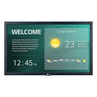 LG 22SM3G-B 22" Display