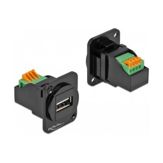 DELOCK D-Typ Modul USB 2.0 Typ-A Buchse zu Terminalblock