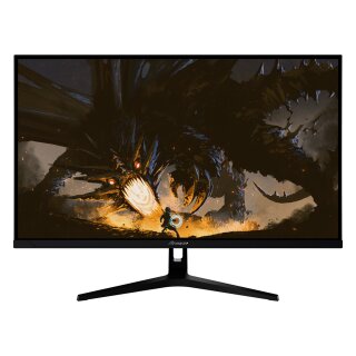 Arozzi TFT Nova 32" IPS 180Hz schwarz