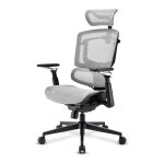 Sharkoon Brostuhl OfficePal C50M (grau)
