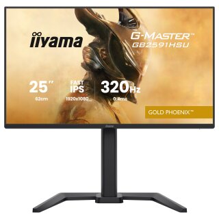 iiyama G-MASTER Gold Phoenix™ GB2591HSU-B1 Gaming-Monitor 68,6 cm (24,5") mattschwarz