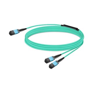 NVIDIA passive fiber cable MMF MPO12 APC