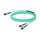 NVIDIA passive fiber cable MMF MPO12 APC