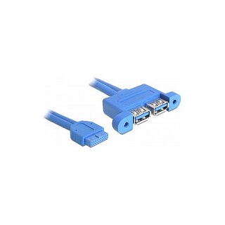USB 5 Gbps Kabel Pfostenbuchse zu 2 x USB Typ-A Buchse nebeneinander 45 cm