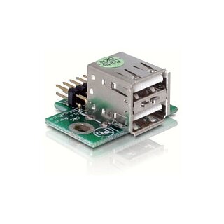 USB Pinheader Stecker zu 2 x USB 2.0 Buchse - oben