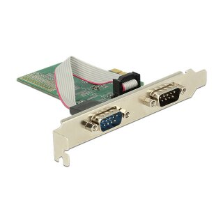 DeLock 2-Port Seriell RS-232 PCI Express-Karte