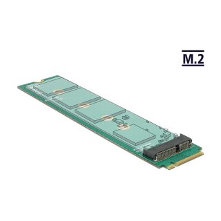 DeLock Adapter M.2 Key M Stecker > M.2 Key E Slot