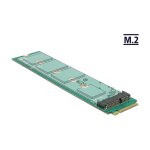 DeLock Adapter M.2 Key M Stecker > M.2 Key E Slot