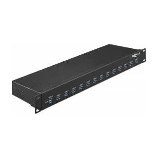 DELOCK 48.26cm 19Zoll Industrie Hub 13 x USB 3.1 Gen 1 Typ-A