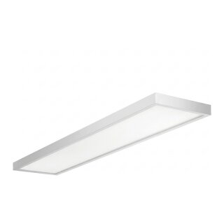 Trilux 2350 G4 D3 PW19 6000-8MC ETDD LED-Deckenanbauleuchte langgestreckt m.transl