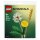 LEGO 30701 Botanicals Feldblumen