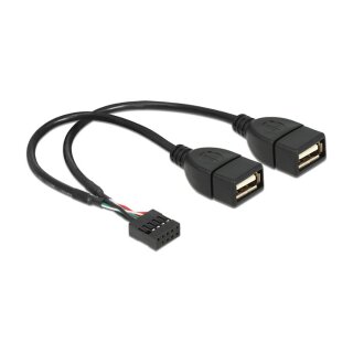 Delock USB Kabel Pin Header Buchse > 2 x USB 2.0 Typ-A Buchse 20 cm