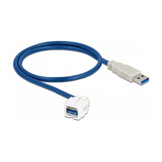 Delock Keystone Modul USB 5 Gbps Typ-A Buchse 250° zu Typ-A Stecker mit 0,5 m Kabel weiß