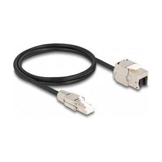 Delock Kabel RJ45 Stecker feldkonfektionierbar zu Keystone Modul RJ45 Buchse Cat.6A 1 m