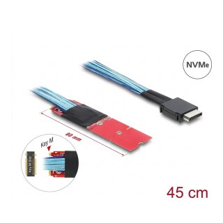 Delock M.2 Key M zu 1 x OCuLink SFF-8611 Konverter mit 45 cm Kabel