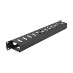 Delock 19? Kabelmanagement Rangierpanel mit 2...
