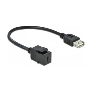 Delock Keystone Modul USB 2.0 C Buchse > USB 2.0 A Buchse mit Kabel