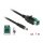 Delock PoweredUSB Kabel Stecker 12 V > DC 5,5 x 2,1 mm Stecker 1 m für POS Drucker und Terminals