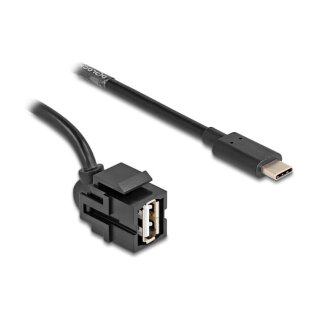 Delock Keystone Modul USB 2.0 A Buchse zu USB Type-C™ Stecker 250° mit Kabel 0,5 m