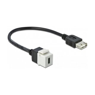Delock Keystone Modul USB 2.0 C Buchse > USB 2.0 A Buchse mit Kabel