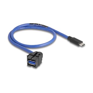 Delock Keystone Modul USB 5 Gbps A Buchse zu USB Type-C™ Stecker mit Kabel