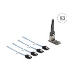 Delock M.2 2242 Key B+M Kontroller zu 4 x SATA mit 1 m Kabel