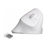 Delock Ergonomische USB Maus vertikal - kabellos