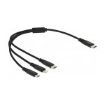 Delock USB Ladekabel 3 in 1 USB Type-C™ zu...