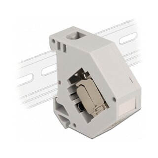 Delock Hutschienenadapter mit Keystone Modul RJ45 Buchse Cat.6A LSA