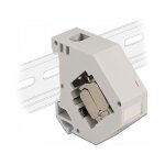 Delock Hutschienenadapter mit Keystone Modul RJ45 Buchse...