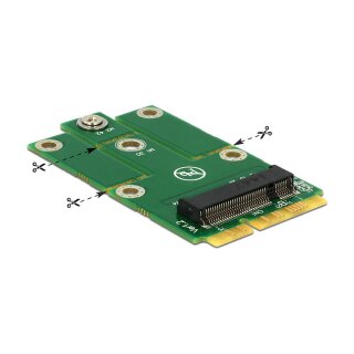 Delock Adapter miniPCIe > M.2 NGFF