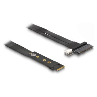 Delock M.2 Key M zu U.2 SFF-8639 NVMe Adapter mit 20 cm Kabel