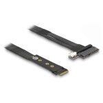 Delock M.2 Key M zu U.2 SFF-8639 NVMe Adapter mit 20 cm...