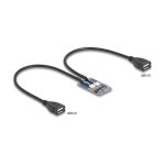 Delock Mini PCIe Adapter full size zu 2 x USB 2.0 Typ-A...