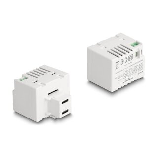 Delock Keystone Modul mit 2 x USB Type-C™ Ladebuchsen PD 20 W weiß