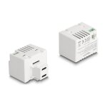 Delock Keystone Modul mit 2 x USB Type-C™...
