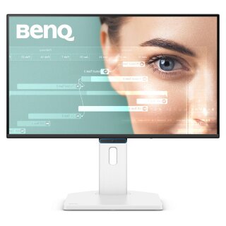 BenQ Monitor GW2490TC LCD-Display 60,45 cm (23,8")