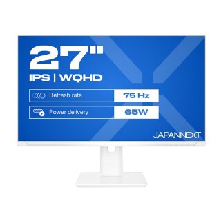 JapanNext WQHD Monitor 68,6cm (27")