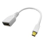 ROLINE DisplayPort Kabeladapter, DP BU - Mini DP ST, 0,15 m